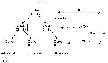 Estructura de la información